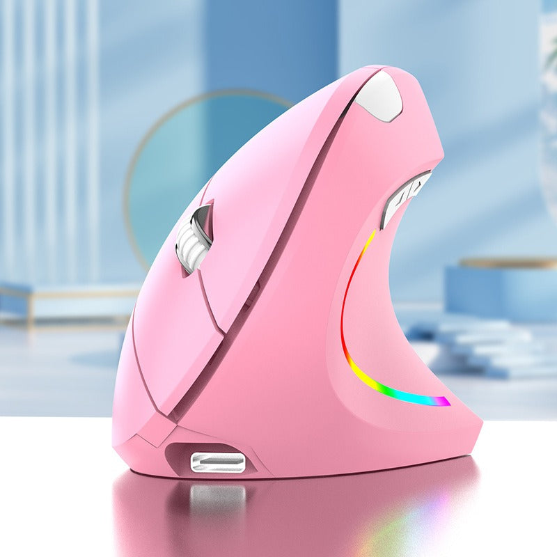 Wireless 2.4G Vertical Mouse