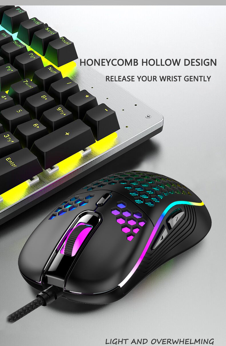 2.4G Wireless Mesh Mouse - Lightweight RGB Gaming Mouse