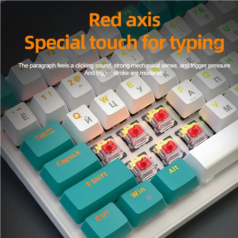 Mechanical keyboard with red axis switches, colorful keycaps, and backlighting for enhanced typing experience.